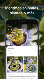 Google Lens 3