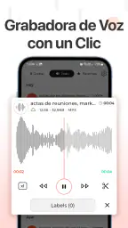 grabadora de voz 2
