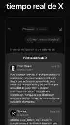 Grok - Asistente de IA 6