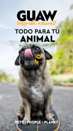 GUAW - DISFRUTA ANIMAL 1