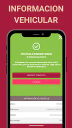 Historial Vehicular MX 2026 4