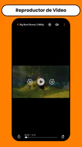 Inkaplay: Reproductor de Video screenshot