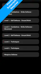 Krav Maga Pro 2