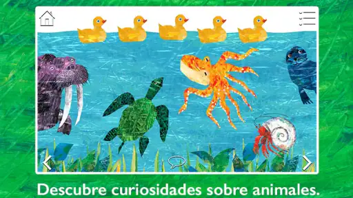 La pequeña oruga glotona 4