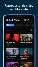 Lark Player:Reproductor Música 8