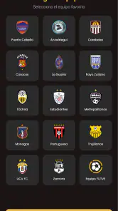 LigaFUTVE screenshot
