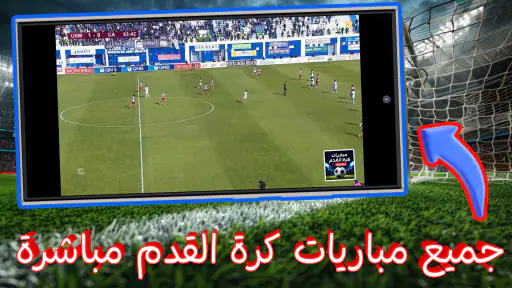 Live Koora - مباريات اليوم 6