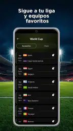 Live Scores: partido de futbol 6