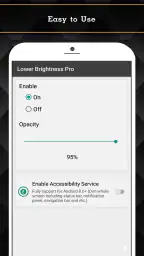 Lower Brightness Pro 1