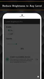 Lower Brightness Pro 3