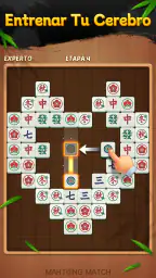 Mahjong Match Diario 4