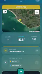 Meduseo 1
