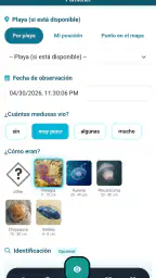 Meduseo 4