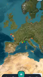 Meduseo 8