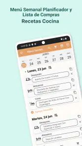 Planificador de Menú Semanal screenshot