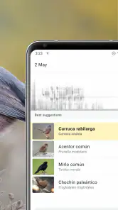 Merlin Bird ID de Cornell Lab screenshot