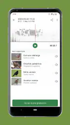 Merlin Bird ID de Cornell Lab 4