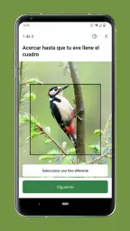Merlin Bird ID de Cornell Lab 6