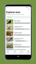 Merlin Bird ID de Cornell Lab 7