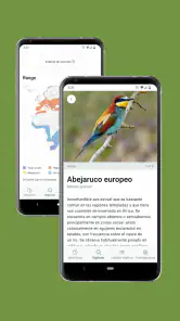 Merlin Bird ID de Cornell Lab screenshot
