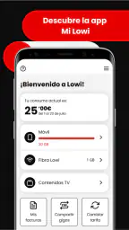 Mi Lowi 1
