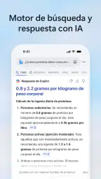 Microsoft Bing Búsqueda 1