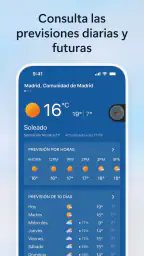 Microsoft Bing Búsqueda 8