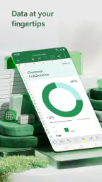 Microsoft Excel: Spreadsheets 1