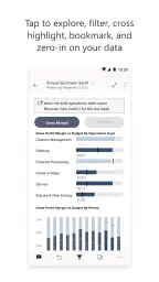 Microsoft Power BI 3