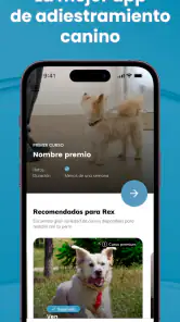 Mister Cooper – Dog Trainer screenshot