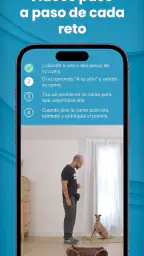 Mister Cooper – Dog Trainer 3