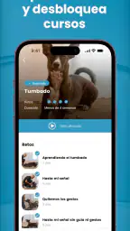 Mister Cooper – Dog Trainer 7