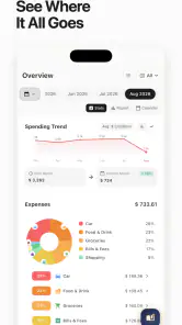 Money Manager: Control Gastos screenshot