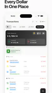 Money Manager: Control Gastos screenshot