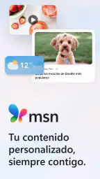 MSN 1
