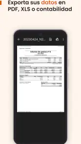 N2F - Gestión de gastos screenshot