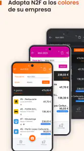 N2F - Gestión de gastos screenshot