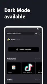 Navegador de Internet - ZEUS screenshot