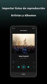 Offline Music Player- Solo screenshot