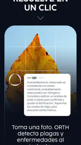 Orth screenshot