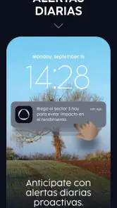 Orth screenshot