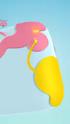 Paper.io 3D 7
