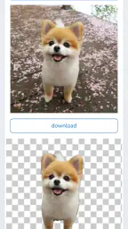 Pencil Camera 7