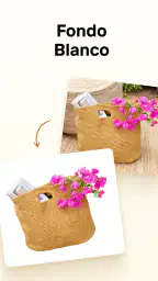 Photoroom: Editor de Fotos 6