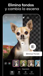 Picsart Editor de Fotos IA 4