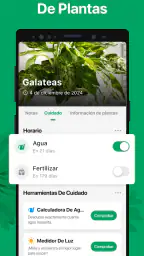 PictureThis Identificar Planta 3