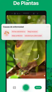 PictureThis Identificar Planta screenshot