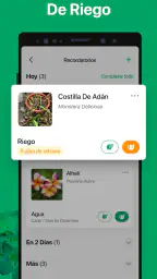 PictureThis Identificar Planta 5