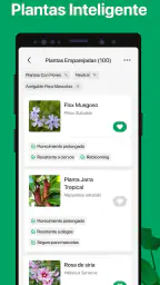 PictureThis Identificar Planta 8