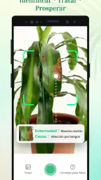 Plant Parent - Guía de cuidado 1